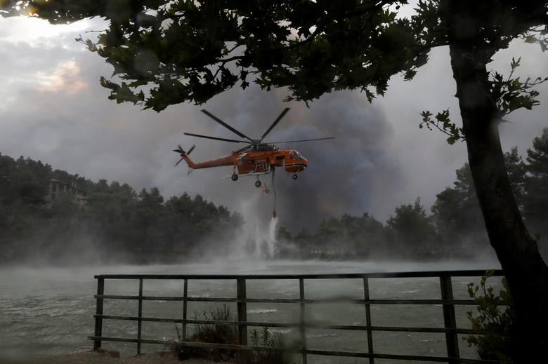 Khiep so canh chay rung nhu “tan the” o Hy Lap-Hinh-3