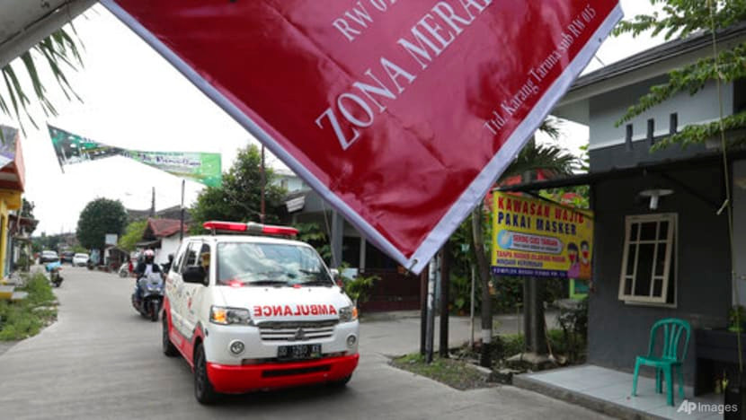 Chuyen gia Indonesia hien ke danh bai COVID-19-Hinh-3