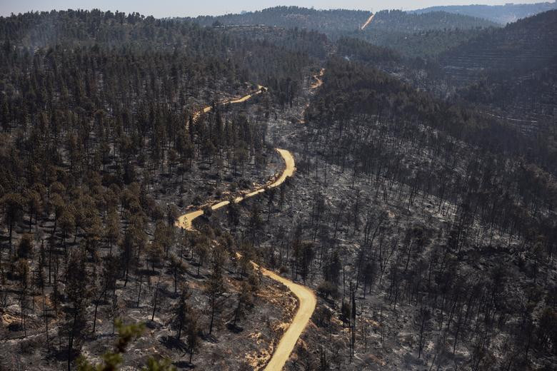 Quang cảnh sau vụ cháy rừng gần Ramat Raziel, ngoại ô Jerusalem, ngày 17/8.