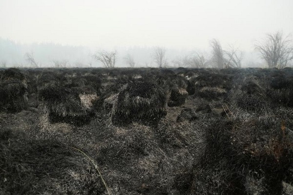 Một khu vực bị thiêu rụi gần làng Taastaakh ở Yakutia, Nga, ngày 11/8.