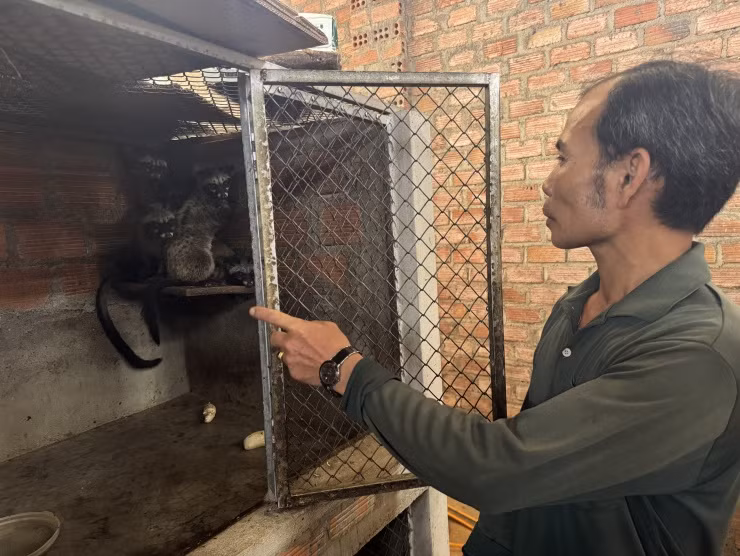 Lão nông nuôi con “ăn quả trả vàng”, thu 50 triệu đồng/tháng Lao nong nuoi con “an qua tra vang”, thu 50 trieu dong/thang