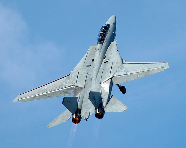 Tổng cộng đã có 712 chiếc được sản xuất từ 1969 - 1991. Giá thành của F-14 Tomcat là 38 triệu USD (1998).