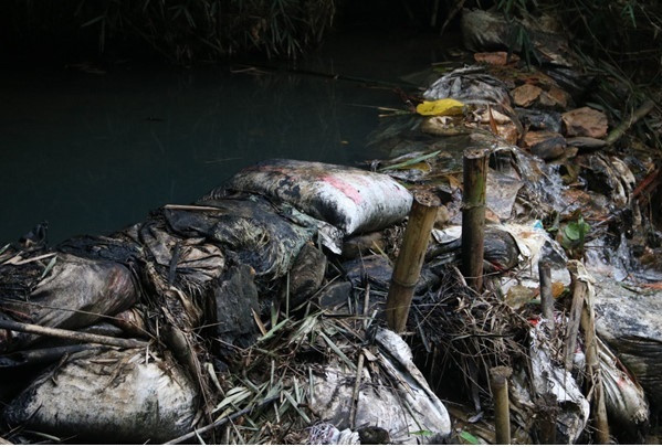 Duong di ky la cua 10m3 dau thai truoc khi do trom gay o nhiem nuoc song Da?-Hinh-3