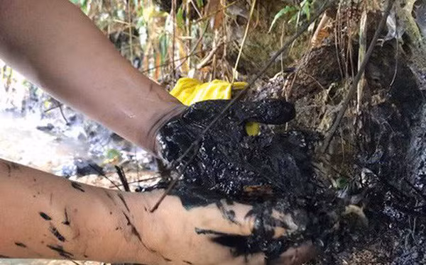 Pho Bi thu tinh Hoa Binh noi gi vu xa thai dau doc nuoc song Da?-Hinh-2