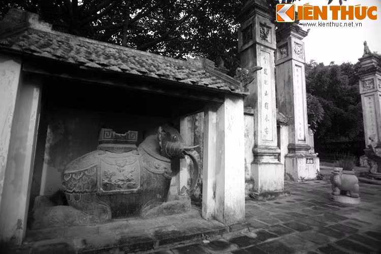 Tại lễ hội đền Cuông 1996, ở bờ biển Cửa Hiền phía sau đền, một con cá voi chết dạt vào bờ, ở nơi được cho là có miếu thờ An Dương Vương khi xưa. Dân chúng lại tin rằng chuyện này ứng nghiệm với truyền thuyết sau khi giết Mỵ Châu, An Dương Vương gieo mình xuống biển Cửa Hiền.