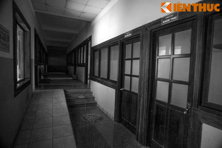 Hàng triệu người tìm đọc và xúc động trước vẻ đẹp tâm hồn của một người con gái tuổi đôi mươi. Những lời văn đượm buồn, ẩn chứa trong đó là khát khao về một tương lai tươi đẹp của một bác sĩ, một chiến sĩ đã chiến đấu tới hơi thở cuối cùng với cây súng trong tay.