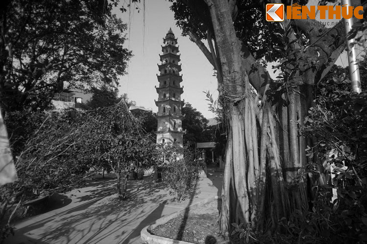 Người sáng lập chùa Liên Phái là ông Trịnh Thập, phu quân của con gái vua Lê Hy Tông. Tương truyền, khi đào đất ở sau phủ để xây bể cá, Trịnh Thập đã tìm thấy một ngó sen lớn. Cho đây là dấu tích của Đức Phật, ông chuyển phủ của mình thành chùa Liên Tông (chùa Liên Phái ngày nay).