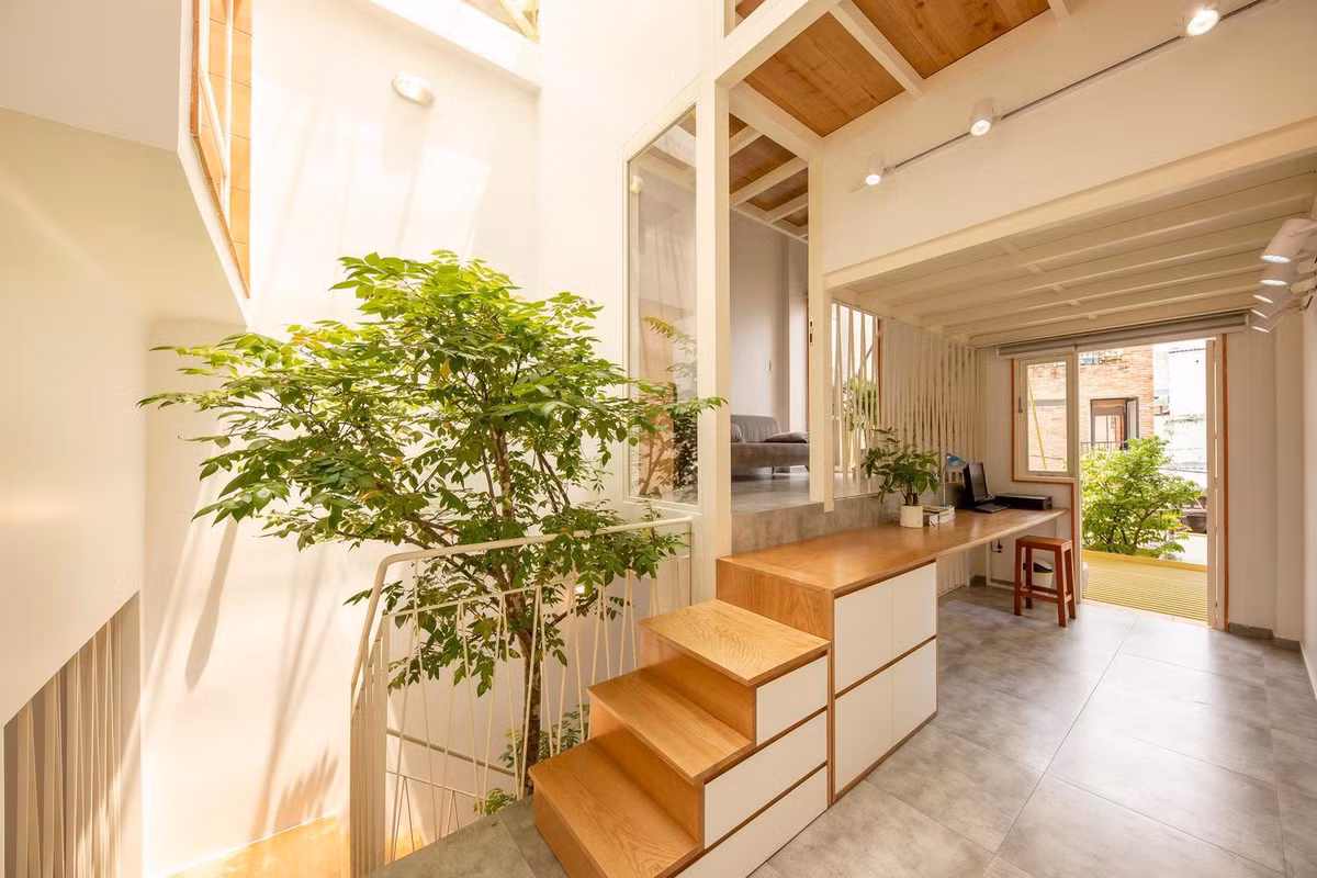 Thiet ke sang tao cua nha mai kep tren o dat nho hep-Hinh-7