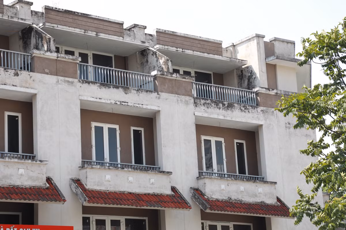 Nhiều căn hộ tường đã bị bong tróc, mốc meo.