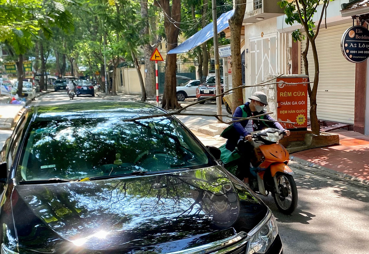 Hà Nội: Hoảng hồn cành cây 3m rơi xuyên thủng kính lái ô tô Ha Noi: Hoang hon canh cay 3m roi xuyen thung kinh lai o to