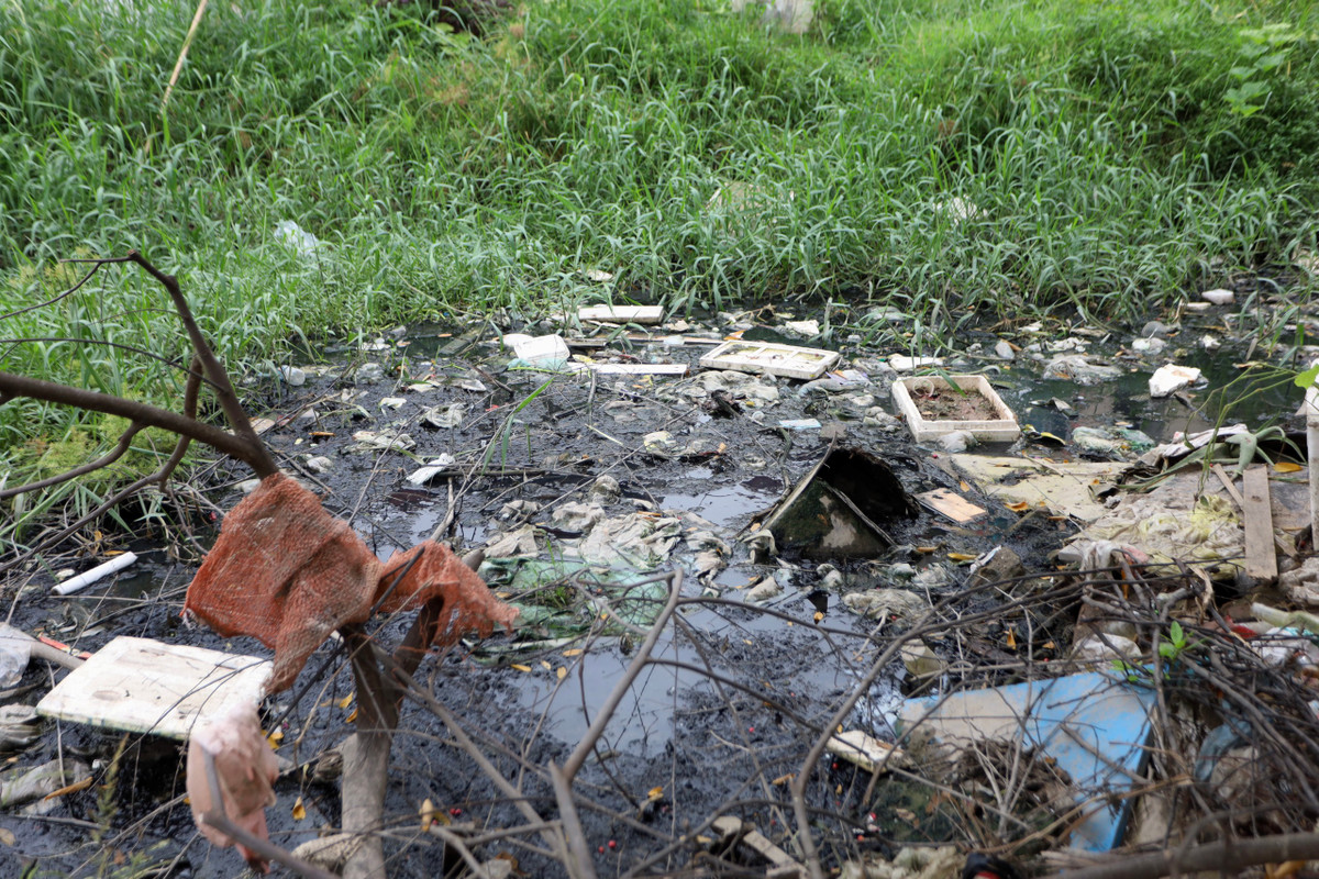 Mương thoát nước ngập ngụa rác thải, bốc mùi hôi thối gây ô nhiễm.