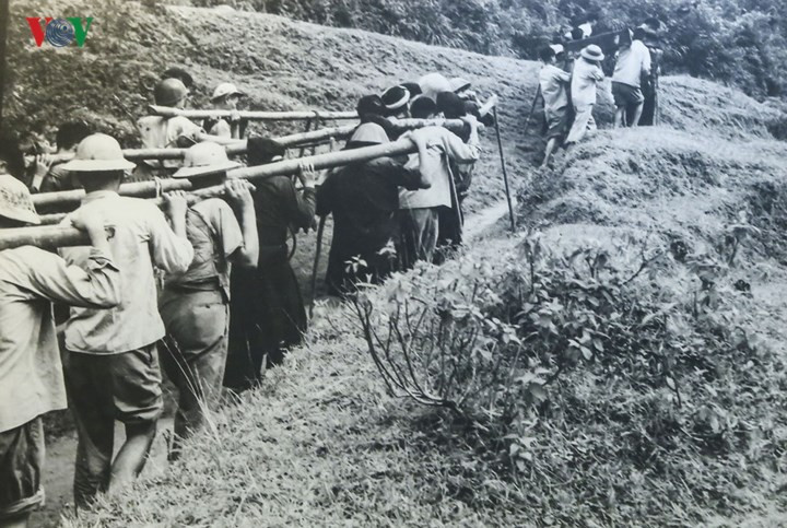 Đóng góp trên 43% số gạo sử dụng tại mặt trận, hàng trăm tấn thịt, rau xanh… và khoảng 550.000 ngày công.