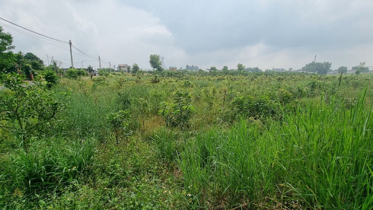 Dong Nai co 21 khu dat du dieu kien dau gia