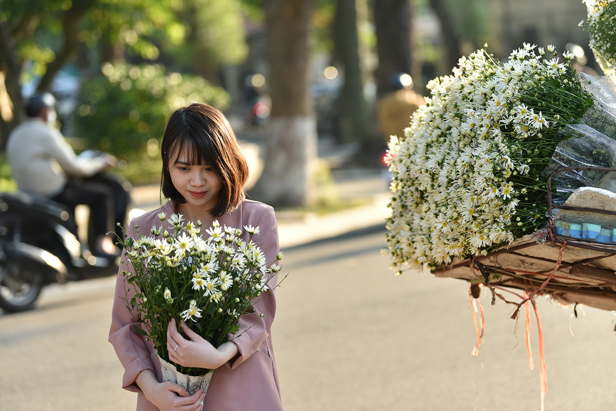 Do đây là loại hoa rất đặc biệt chỉ xuất hiện khi tiết trời đẹp nên dù giá hoa đắt nên vẫn rất nhiều bạn trẻ mua vừa để chụp ảnh, vừa để mang về cắm.