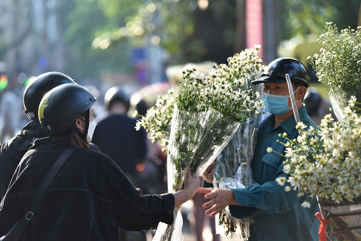 Cúc Hoạ mi là loại hoa đặc trưng của Hà Nội, chỉ nở khi thời tiết bắt đầu trở lạnh.