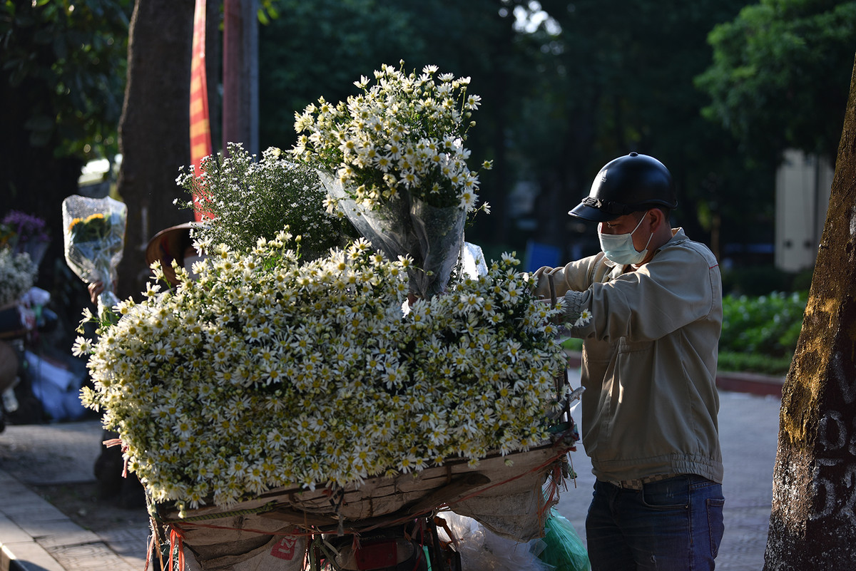 Anh Bùi Văn Kiên - bán hoa trên đường Hoàng Hoa Thám (Hà Nội) cho biết, do dịch bệnh COVID-19 nên diện tích trồng hoa năm nay bị thu hẹp nên giá hoa đắt hơn mọi năm.