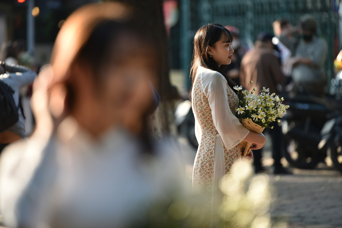 Cuc Hoa mi dau mua xuong pho, dan buon het gia ca tram nghin/bo