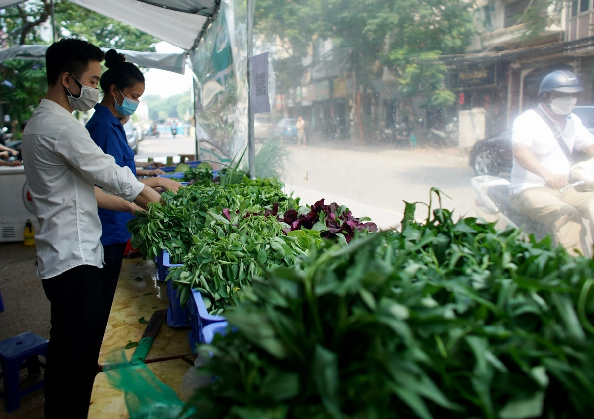 Thực phẩm được bày bán trong gian hàng có môi trường bảo quản tốt nên tươi và xanh.