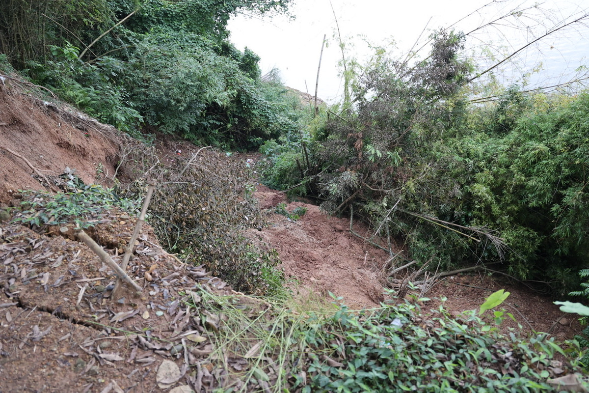 Kinh hoàng những điểm sạt lở đê đang “nuốt” tài sản người dân Kinh hoang nhung diem sat lo de dang “nuot” tai san nguoi dan