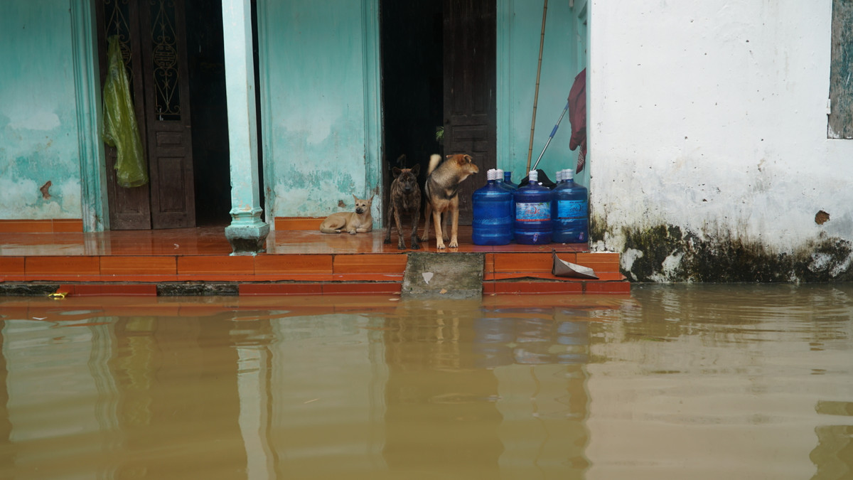 Do đã quen với tình trạng ngập lụt thường xuyên người dân ở đây cũng rất nhanh chóng thích nghi với “cuộc sống sông nước”.