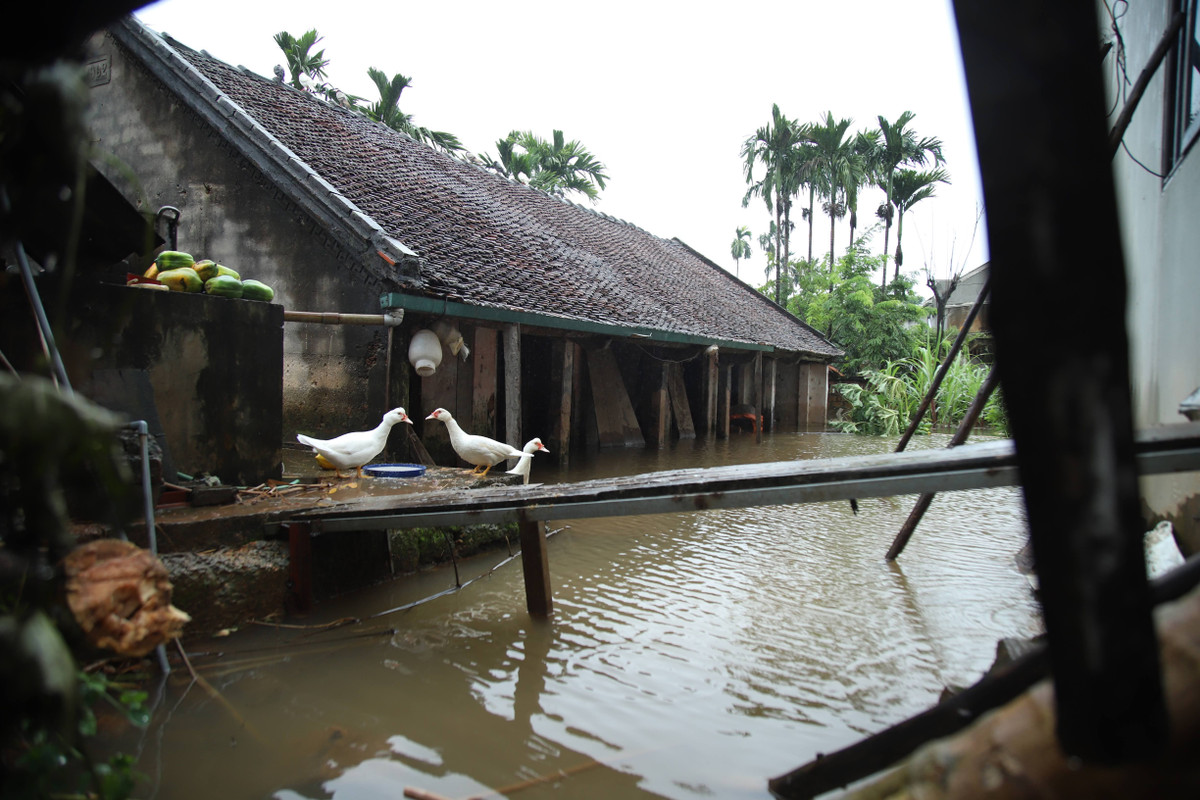 Được biết, tình trạng ngập úng đã kéo dài khoảng 5 ngày nay, đỉnh điểm là vào ngày 16/10. Hiện mực nước đã dừng dâng cao nhưng chưa có dấu hiệu rút.