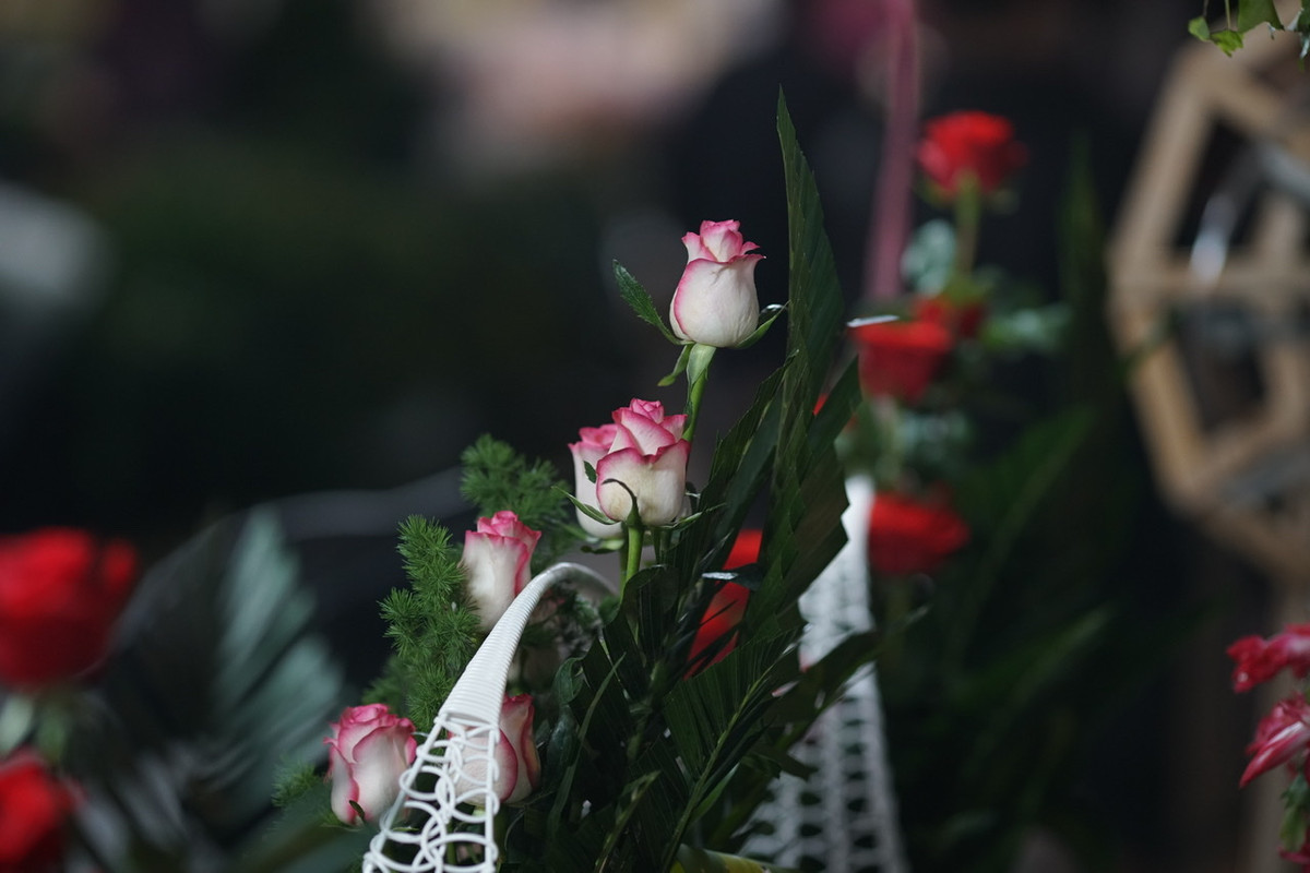 Hoa hồng cắm lãng giao đồng trên dưới 500.000 đồng/lãng.