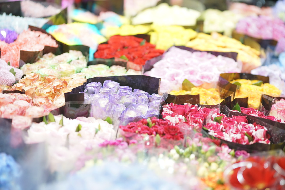 Thị trường hoa năm nay cũng không nhiều như mọi năm. Chủ yếu vẫn là các loại hoa được trồng tại các làng hoa của Hà Nội.