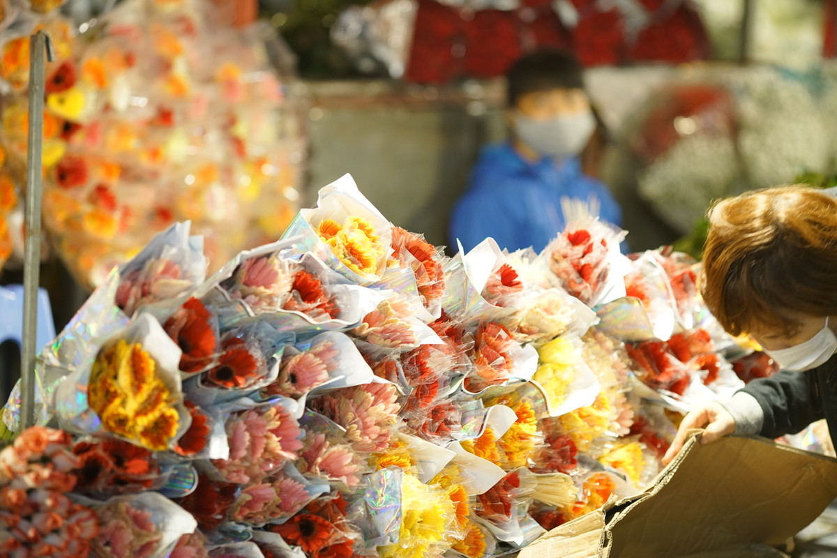 Hoa đồng tiền năm nay có nhiều màu sắc khá lạ mắt.