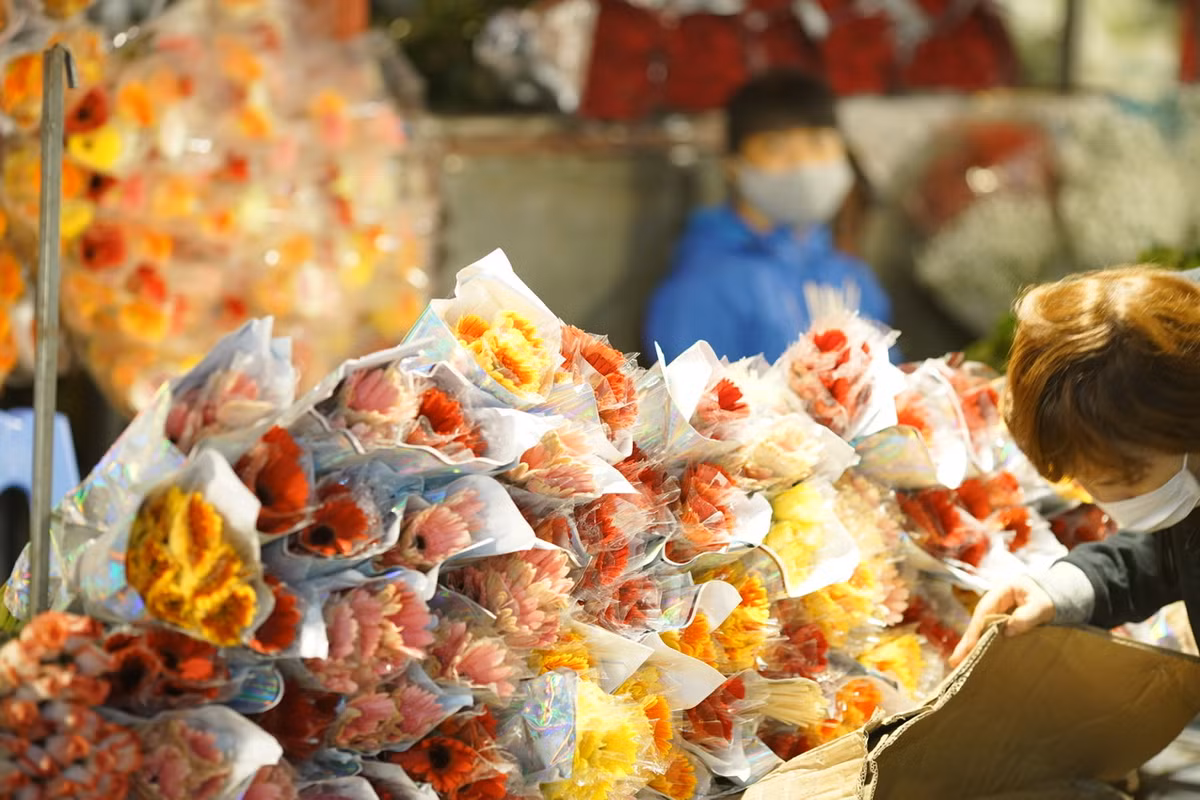 Hoa đồng tiền năm nay có nhiều màu sắc khá lạ mắt.