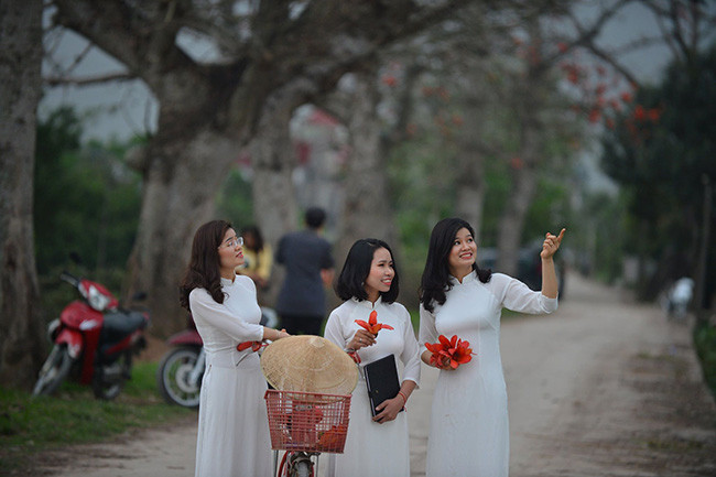 Một trong những địa điểm nổi tiếng nhất để chụp ảnh hoa gạo chính là hàng cây ở thôn Đoan Nữ thuộc xã An Mỹ, huyện Mỹ Đức, Hà Nội 