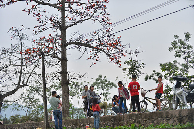 Hoa gạo cũng góp phần tạo ra những ký ức, kỷ niệm về tuổi thơ của những cháu nhỏ này.