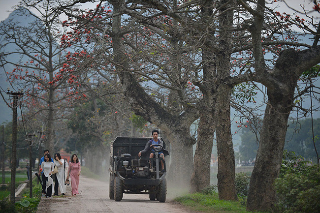 Hàng cây gạo nơi đây cảm giác làng quê mộc mạc, con người chân chất đi dưới hàng cây gạo đỏ rực mang tới cảm giác rất lạ, vừa gần gũi, lại rất thân thuộc. 