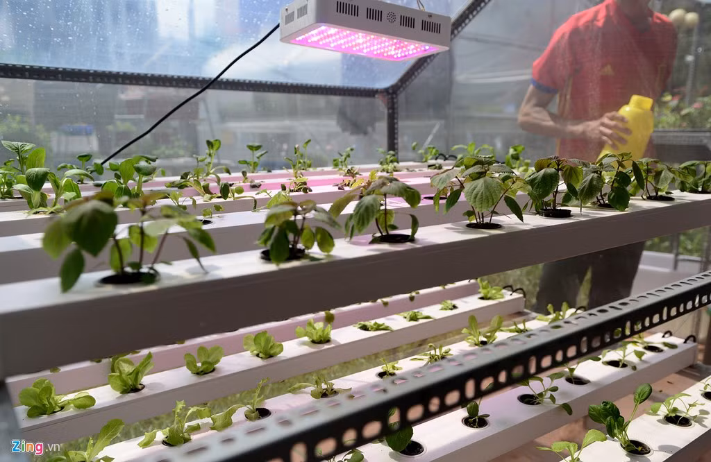 Hội chợ nông nghiệp công nghệ cao và công nghiệp thực phẩm lần 5 diễn ra từ ngày 10-14/11 tại công viên Lê Văn Tám, quận 1, TP.HCM thu hút 300 gian hàng đến từ 20 tỉnh thành.