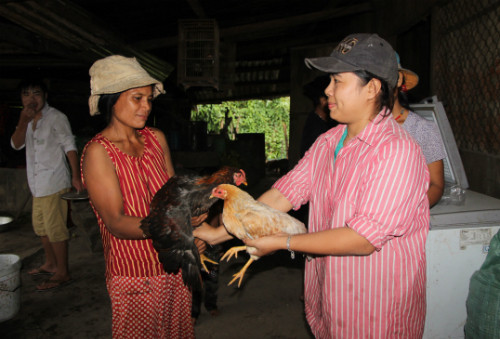 Tuc doi ga de cung chan ma ve lang cua nguoi Xe Dang