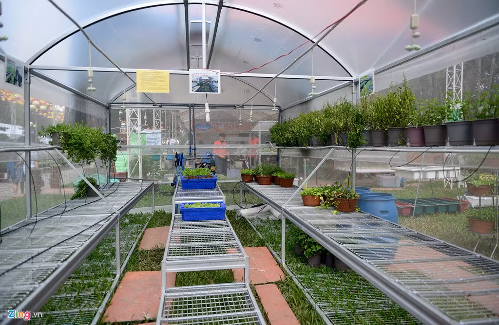 Hội chợ nhằm tiếp tục mục tiêu phát triển nông nghiệp theo hướng nâng cao giá trị gia tăng, đổi mới sản xuất, liên kết chặt chẽ trong chuỗi giá trị. Nhiều mô hình trồng rau tại nhà, áp dụng các kỹ thuật mới được trưng bày.