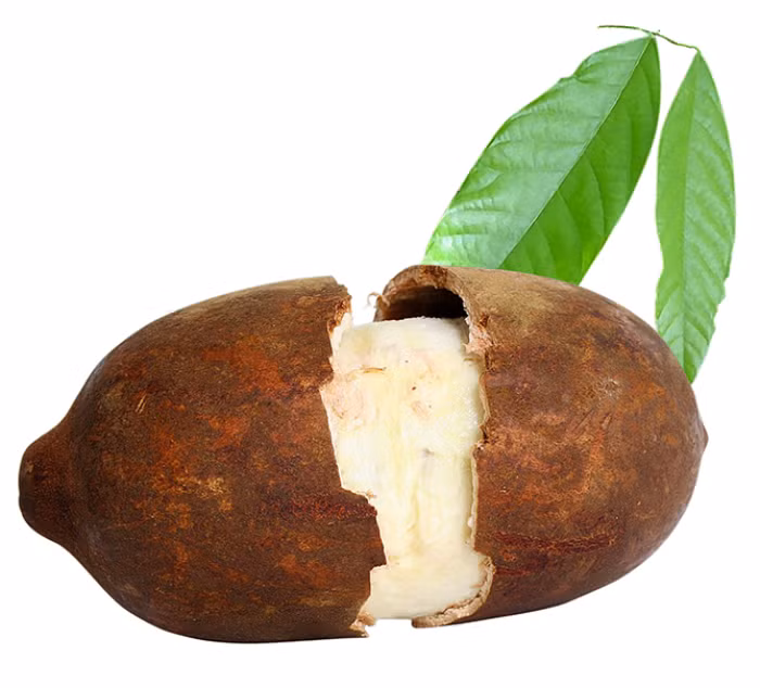 Quả Cupuaçu, tên khoa học là Theobroma grandiflorum là một loại quả đặc hữu ở lưu vực sông Amazon, sự độc đáo của loại quả nằm này ở mùi và vị, chúng có mùi giống sô cô la và dứa nhưng có vị ngon kết hợp giữa lê và chuối. (Nguồn Bored Panda)