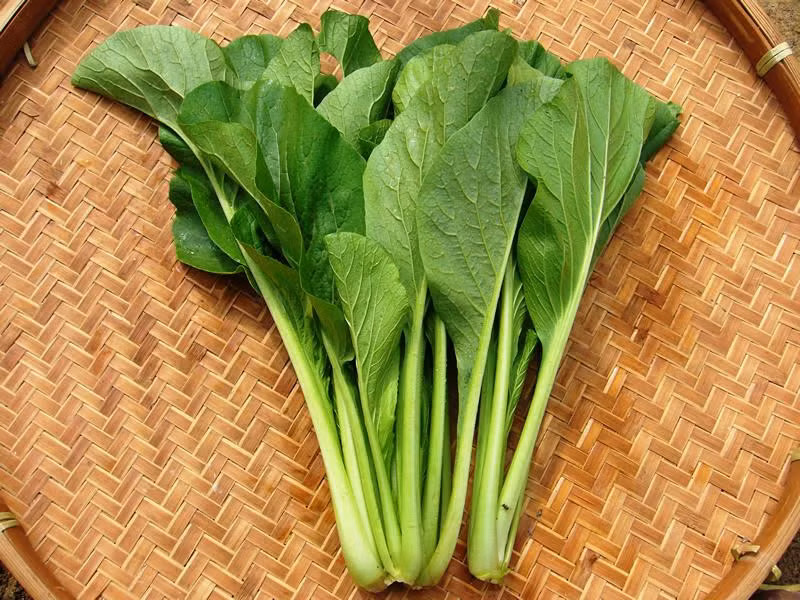 Mach ba noi tro cach chon rau cu an toan mua dong-Hinh-8