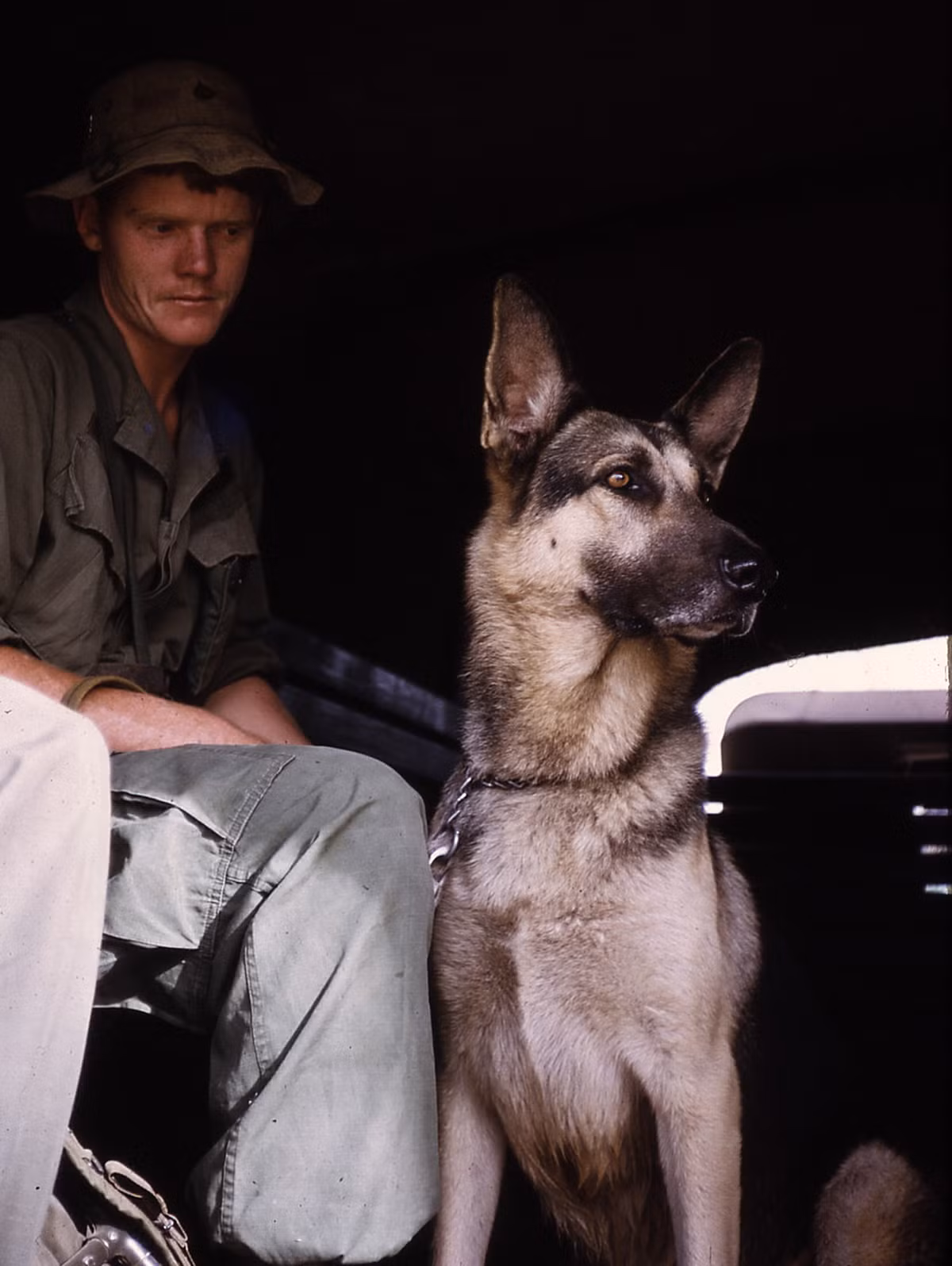 Trong ảnh là chủ chó tên Little John.