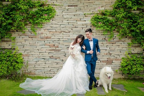 Phản ứng trên càng khiến dân mạng thêm khó chịu những người thực hiện bộ ảnh cưới cùng dàn xe Dream này và tiếp tục buông thêm nhiều lời chỉ trích.