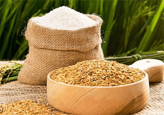 Tại cơ quan điều tra, Phơi khai nhận: Do làm nghề xe ôm và thường chở chị Mấng đi tìm mối mua thóc lúa nên gã biết khá rõ mọi thông tin về nạn nhân. Khi túng tiền mua ma túy, Phơi nghĩ ngay tới chị Mấng để ra tay. Chiều 28/11/2013, Lò Văn Phơi tìm gặp chị Mấng để nói chuyện về việc muốn bán 30 bao thóc nếp, hẹn chị sáng hôm sau sẽ qua đón để đưa đi. 4h sáng hôm sau, Phơi đã mò tới. (Ảnh minh họa, nguồn ảnh Internet)