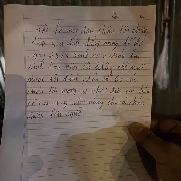 Phường Trần Phú thông tin thêm, tại nơi phát hiện ra hai cháu bé có một tờ giấy ghi: "Tôi là mẹ đơn thân, tôi chưa lập gia đình. Chẳng may lỡ dở, ngày 25-8 sinh ra hai cháu, lại sinh non nên tôi không thể nuôi được. Tôi đành từ bỏ các cháu. Mong ai nhặt được các cháu sẽ cưu mang nuôi nấng các cháu nên người". Trong lúc chờ xác minh mẹ và tìm người thân các bé, phường đã giao hai bé cho một gia đình tạm thời nuôi dưỡng, chăm sóc.