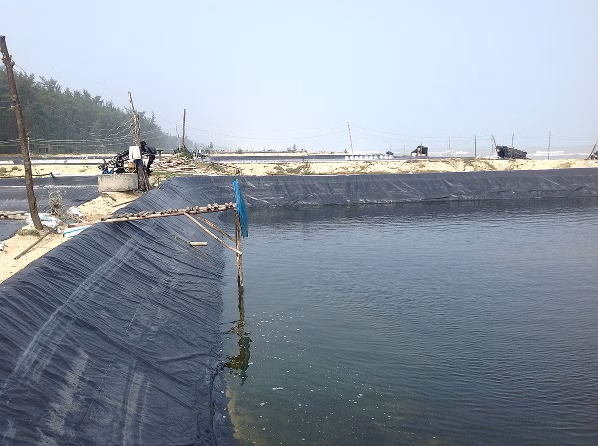 Nhà nạn nhân ở thôn 3, đây là địa bàn có nhiều trang trại, đầm nuôi trồng thủy hải sản nên khá thưa thớt. Vụ án xảy ra vào tối muộn, lại đúng thời điểm dịch COVID – 19 nên hầu hết người dân chỉ ở trong nhà. Việc truy tìm nhân chứng hoàn toàn không khả thi. Sau nhiều giờ làm việc, các trinh sát Công an Hải Phòng cũng thu được đoạn clip từ camera nhà dân lắp gần hiện trường. (Ảnh minh họa)