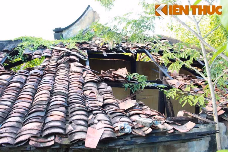 Nằm sâu trong một con hẻm, Chùa Giác Viên còn bất lợi ở chỗ xung quanh là dân ngự cư ở khá phức tạp. Nhiều phần mái lợp ngói đã đổ sụp, rơi vỡ vô cùng nguy hiểm.