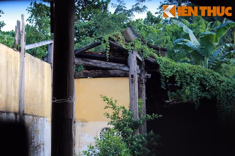 Theo các sư thầy trong chùa cho biết, phần mái chính điện của chùa đã cũ nát, ngói xô lệch, rơi vỡ, thủng dột nhiều chỗ. Nền móng nhiều chỗ bị bong tróc, cây cối mọc um tùm...