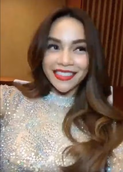 Ho Ngoc Ha vuong nghi van sua cam V-line nhon hoat-Hinh-2