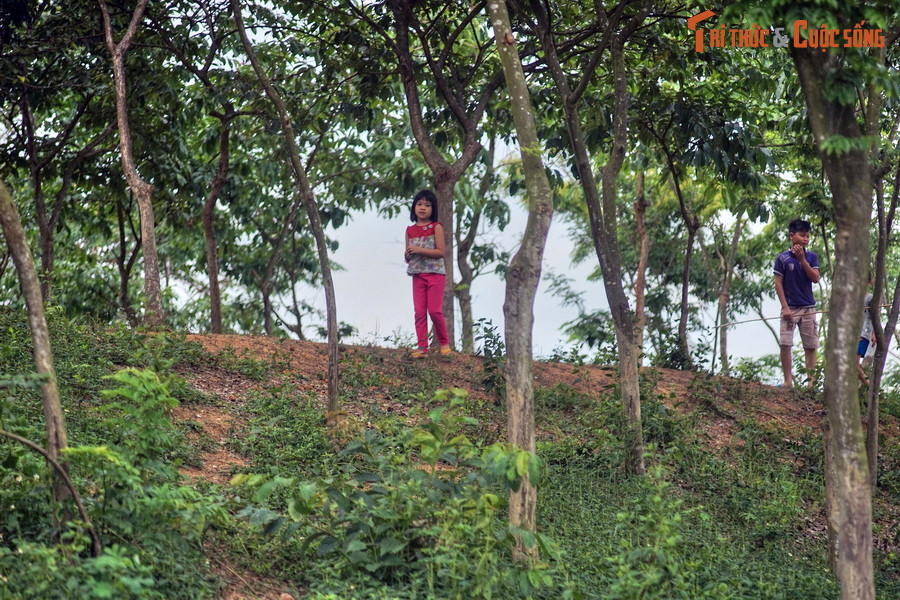 Mặt ngoài lũy dốc thẳng đứng, mặt trong thoải để đánh vào thì khó, trong đánh ra thì dễ. Lũy cao trung bình từ 4–5 m, có chỗ cao đến 8–12 m. Chân lũy rộng 20–30 m, mặt lũy rộng 6–12 m. Khối lượng đất đào đắp ước tính 2,2 triệu mét khối.