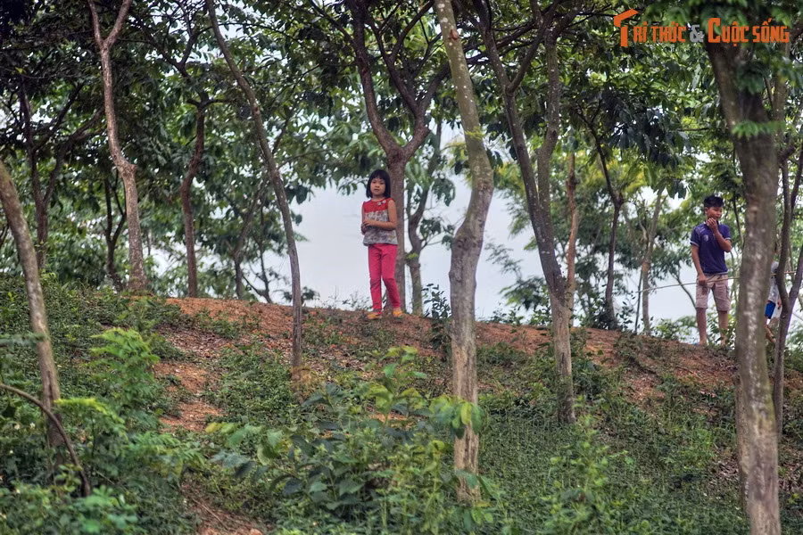 Mặt ngoài lũy dốc thẳng đứng, mặt trong thoải để đánh vào thì khó, trong đánh ra thì dễ. Lũy cao trung bình từ 4–5 m, có chỗ cao đến 8–12 m. Chân lũy rộng 20–30 m, mặt lũy rộng 6–12 m. Khối lượng đất đào đắp ước tính 2,2 triệu mét khối.