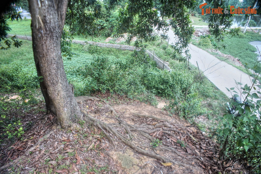 Trong cấu trúc chung của thành Cổ Loa còn có một yếu tố khác làm phong phú thêm tổng thể kiến trúc này. Đó là những gò đất dài hoặc tròn được đắp rải rác giữa các vòng thành hoặc nằm ngoài thành ngoại.