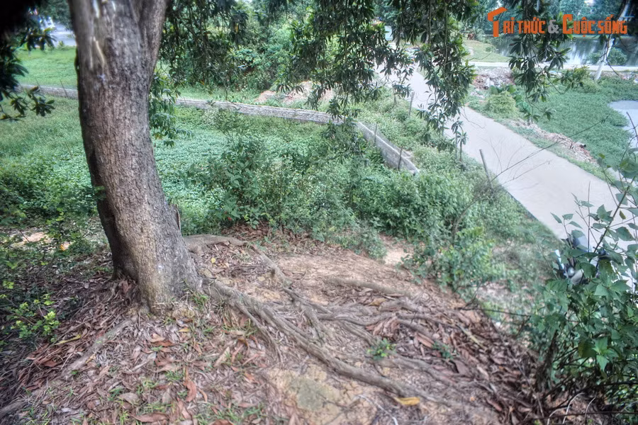 Trong cấu trúc chung của thành Cổ Loa còn có một yếu tố khác làm phong phú thêm tổng thể kiến trúc này. Đó là những gò đất dài hoặc tròn được đắp rải rác giữa các vòng thành hoặc nằm ngoài thành ngoại.