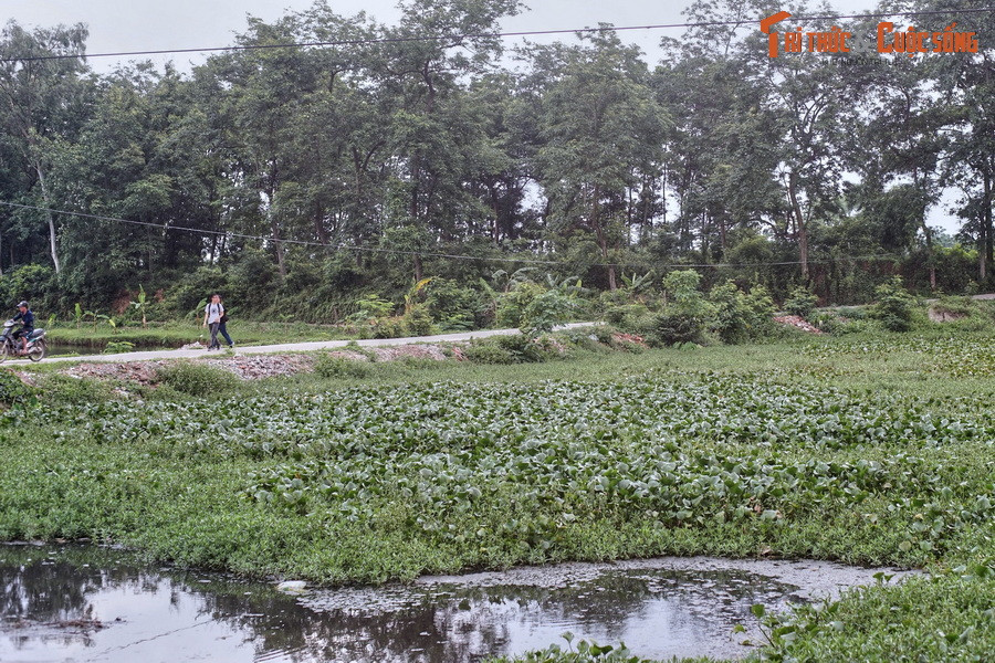 Mỗi vòng thành đều có hào nước bao quanh bên ngoài, hào rộng trung bình từ 10 m đến 30 m, có chỗ còn rộng hơn. Các vòng hào đều thông với nhau và thông với sông Hoàng.